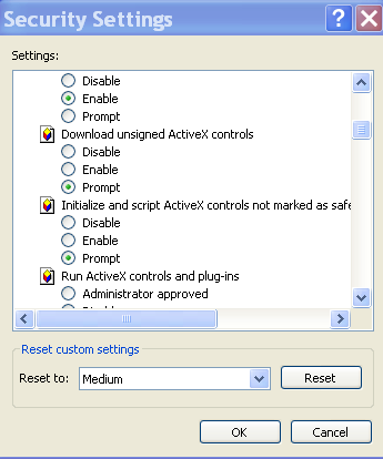 Set: download unsigned active x controls as prompt and set initialize and script Active X controls not marked as safe for scripting to prompt.